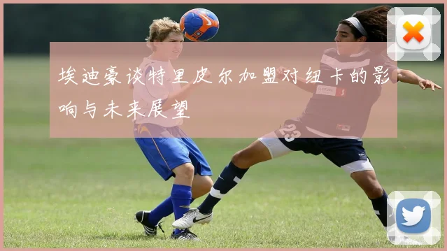 埃迪豪谈特里皮尔加盟对纽卡的影响与未来展望