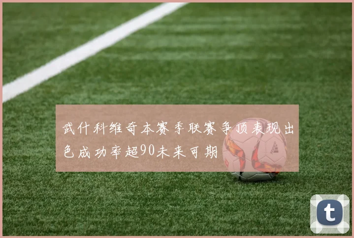 武什科维奇本赛季联赛争顶表现出色成功率超90未来可期