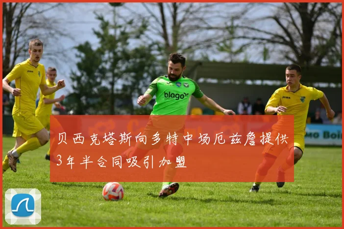 贝西克塔斯向多特中场厄兹詹提供3年半合同吸引加盟