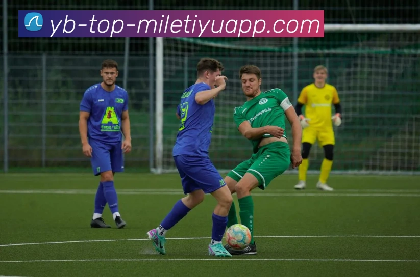 多媒体互动体验